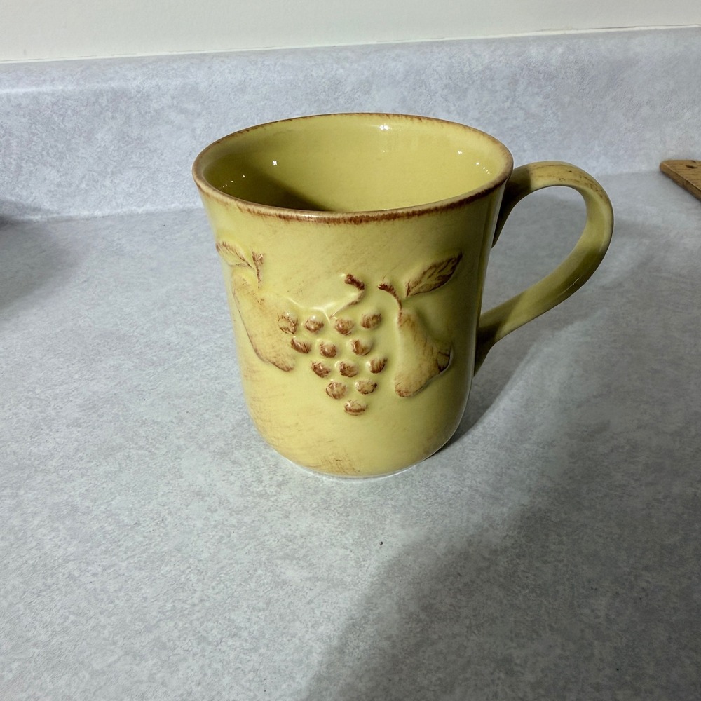 Casa Stone by Casafina Madeira Harvest Yellow Stoneware Fruit Mug Portugal